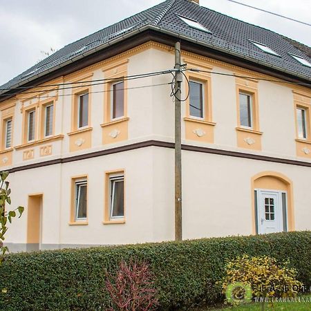 Pension Alex Brahmenau エクステリア 写真